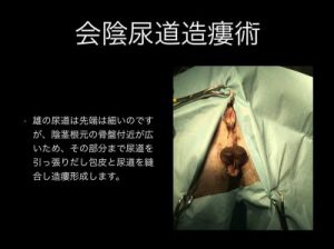 31781577f699af37d5_0
