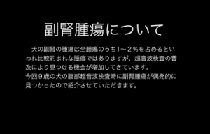 51357563090d394b99_0