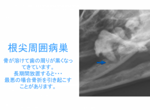6267955fbd33b0431b_6
